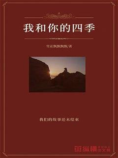闪电冰火人