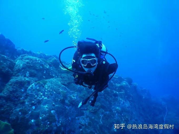 驾驶证吊销了要两年才能考怎么办？游戏画面