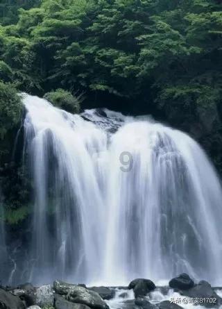 保卫我们的家园