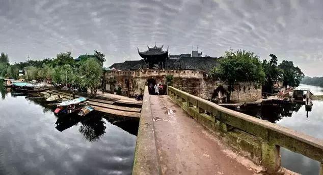 萌宠好又多